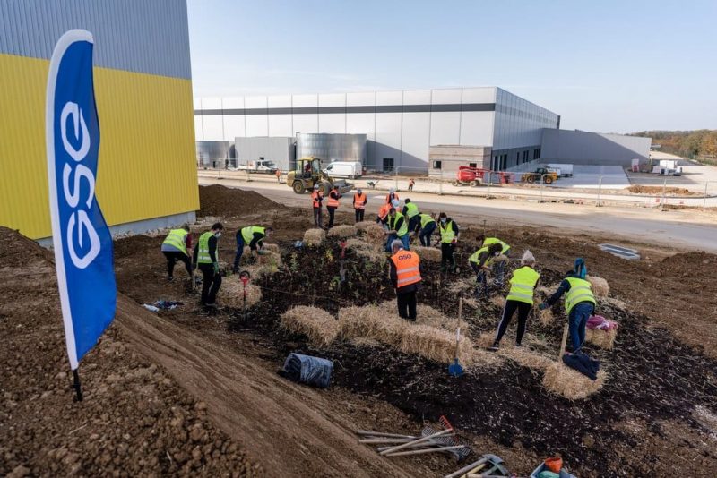 A 790 m² urban mini-forest planted on the site of Alderan’s future logistics platform